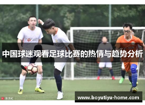 中国球迷观看足球比赛的热情与趋势分析